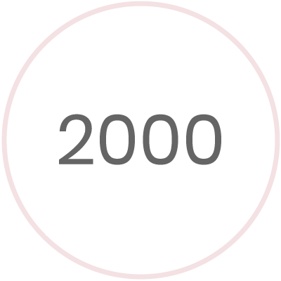 año 2000