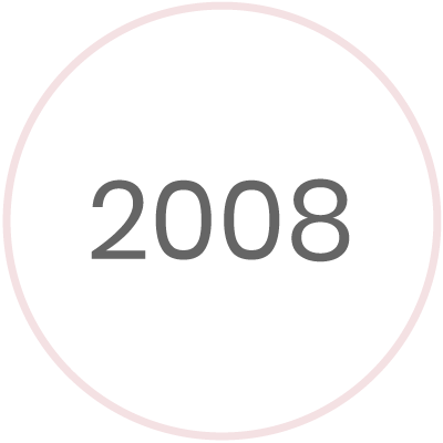 año 2008