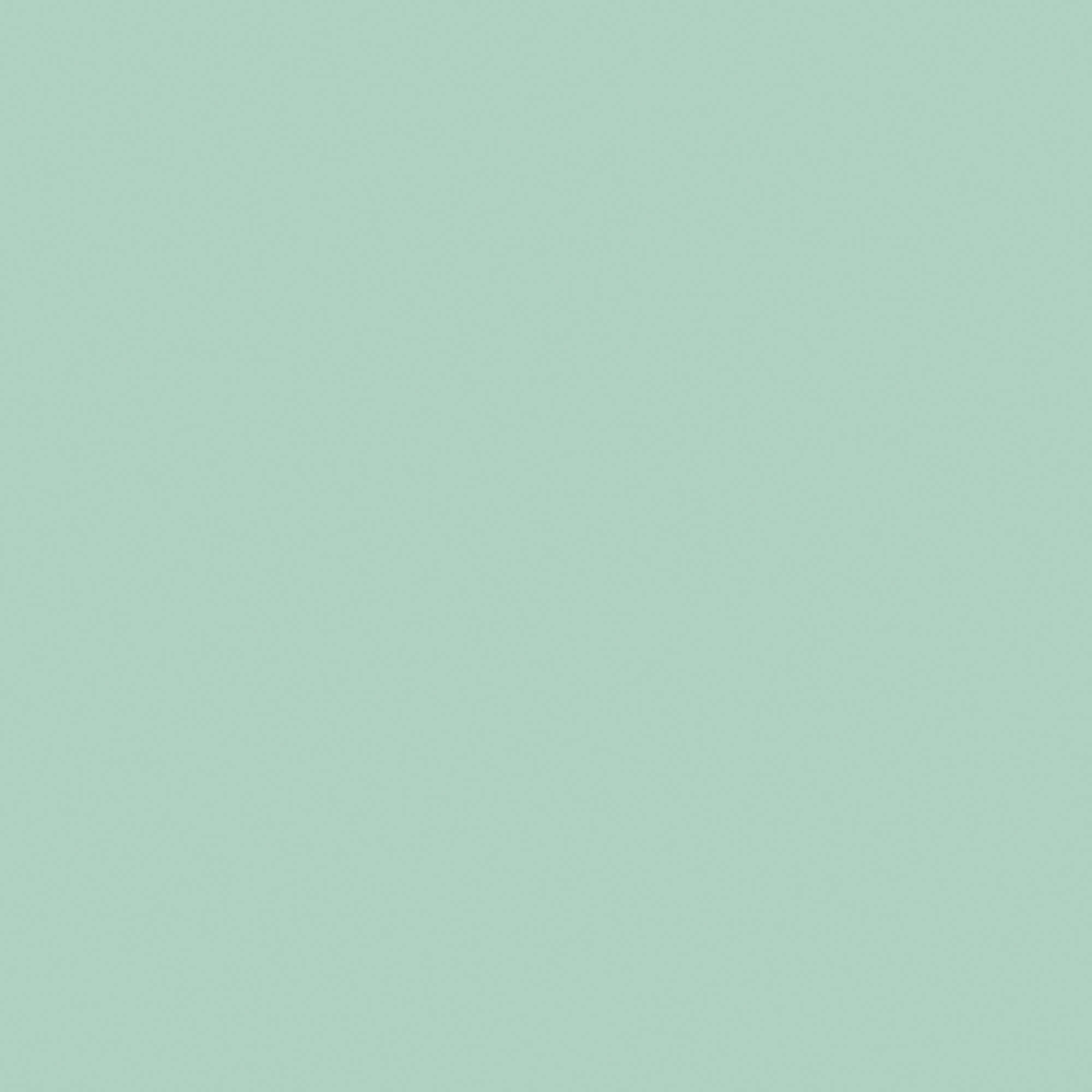 Color 55 verde-menta mate Alondra